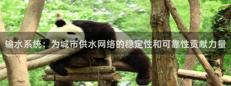 包头众腾娱乐密室逃脱