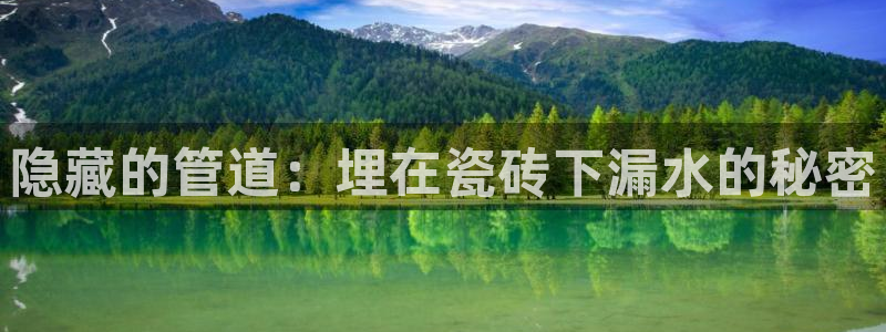 众腾娱乐总代理