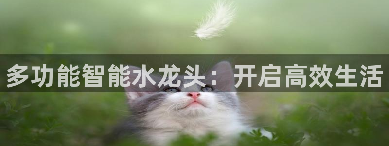 彝族自治州众腾娱乐