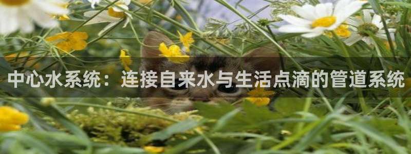 众腾娱乐梦幻演艺店