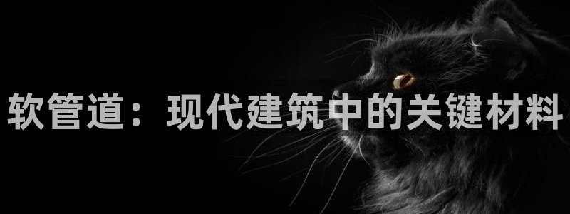 众腾娱乐平台官网入口