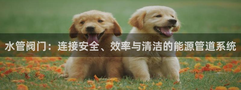 众腾娱乐总代理