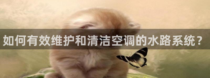 众腾娱乐得7O777