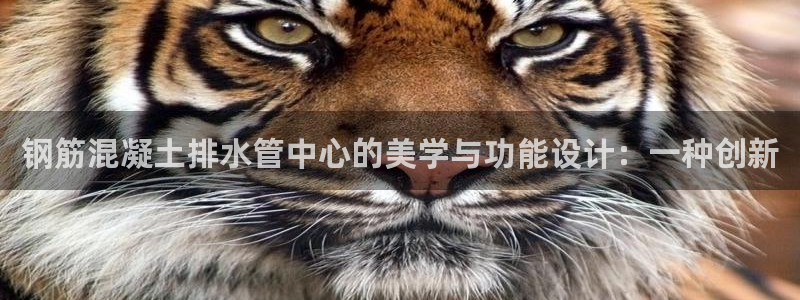 众腾娱乐平台群7O777