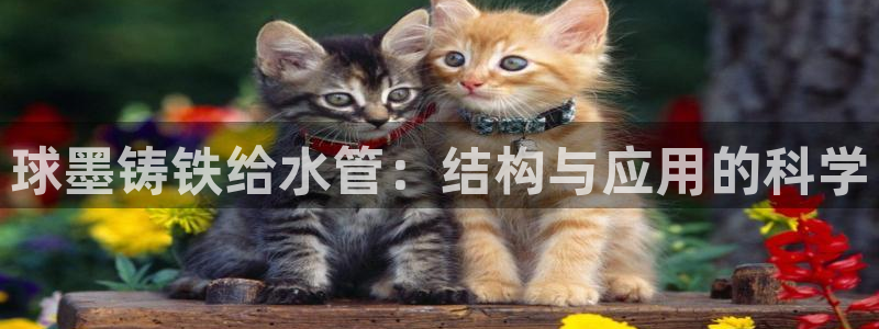 众腾娱乐总代理