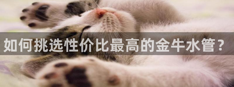 众腾娱乐代理怎么样