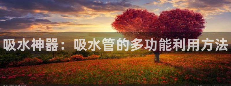 腾众娱乐是什么