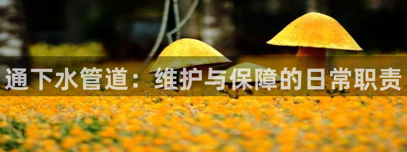 内蒙古众腾娱乐文化法人