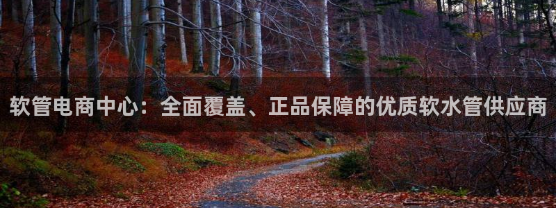 众腾娱乐集团有限公司