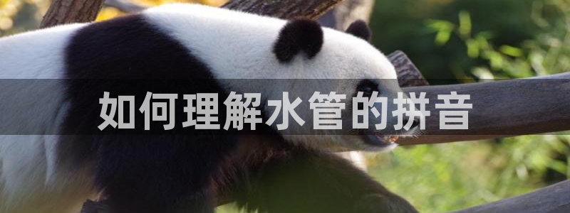 众腾娱乐下7O777