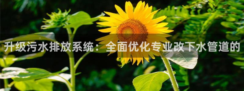 众腾娱乐文化怎么样