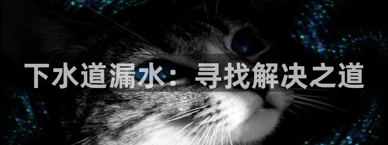 腾众娱乐是什么