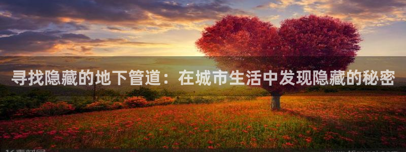 众腾娱乐平台下载